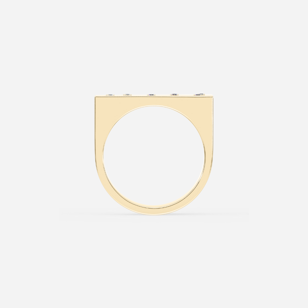 The Wedge Signet with Star Set Diamonds