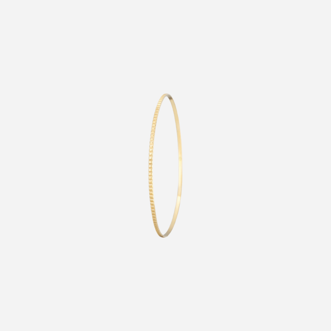 The Scale Bangle